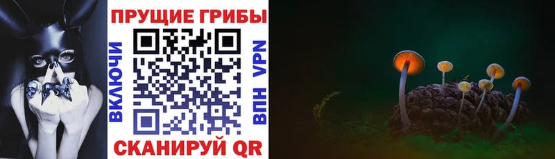 Купить закладки  Астрахань  Галлюциногенные грибы мухоморы 